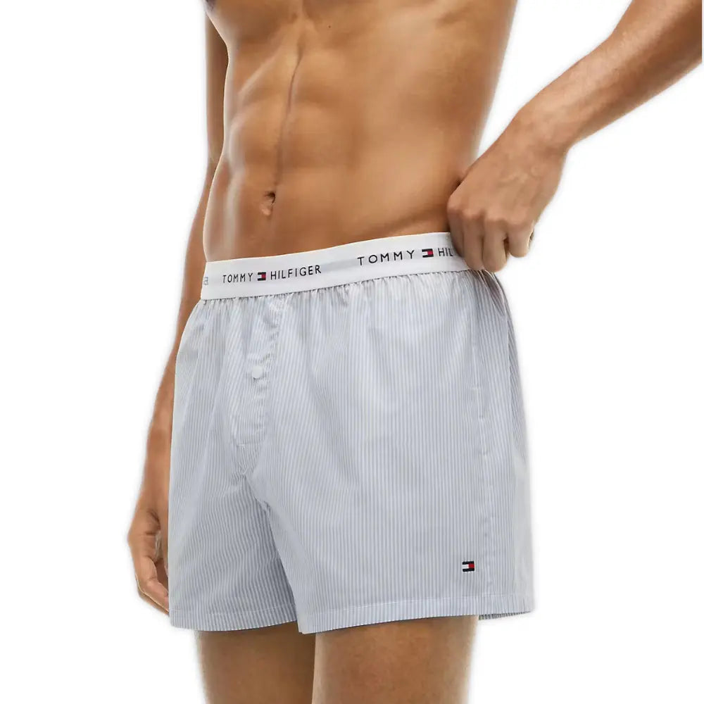 2-Pack Ithica Stripe Signature Cotton Boxer Shorts, Breezy Blue