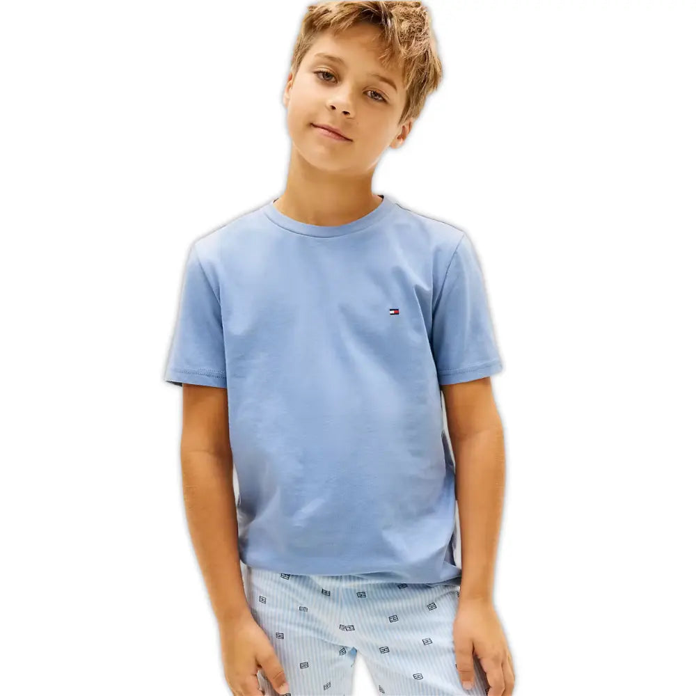 2-Pack Flag Logo Boys T-Shirts, Brisk Blue / Preppy Navy