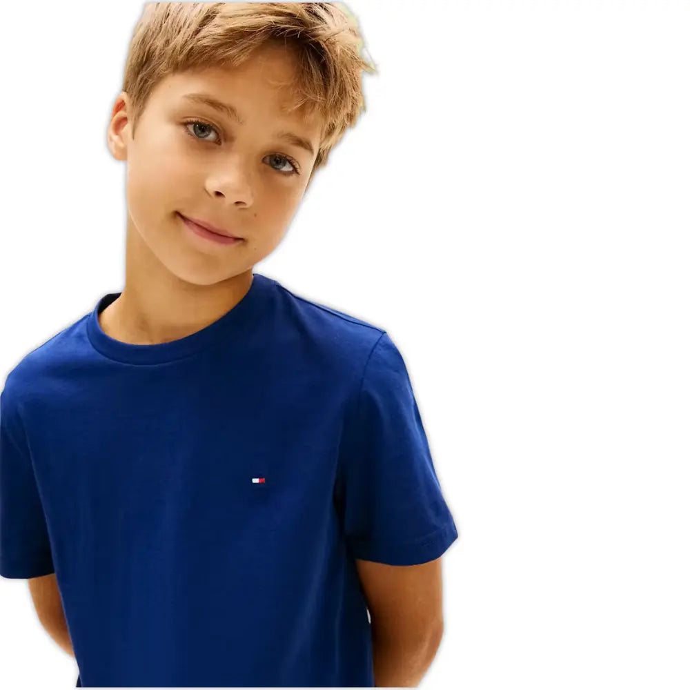 2-Pack Flag Logo Boys T-Shirts, Brisk Blue / Preppy Navy