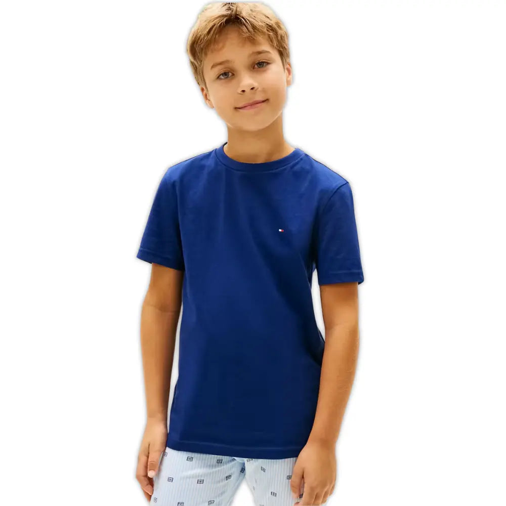 2-Pack Flag Logo Boys T-Shirts, Brisk Blue / Preppy Navy