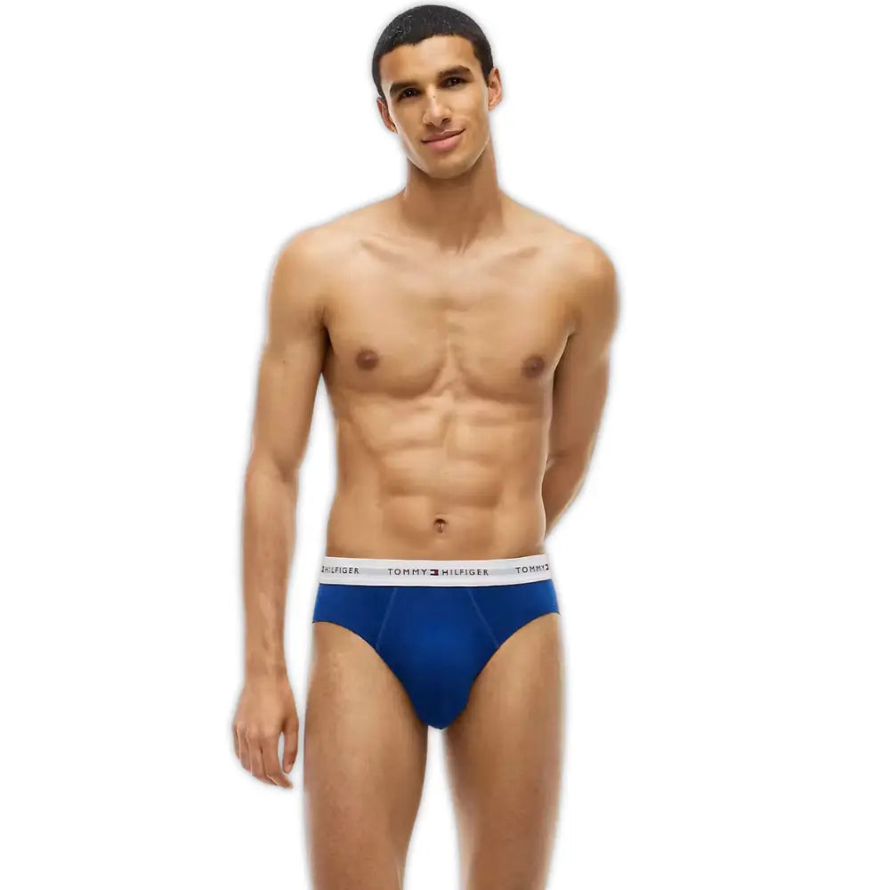 3-Pack Signature Cotton Briefs, Blue/Burgundy/Blue