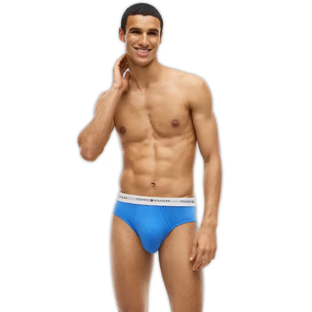 3-Pack Signature Cotton Briefs, Blue/Burgundy/Blue
