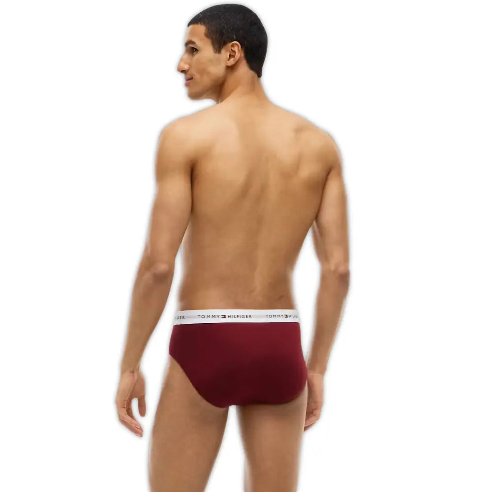 3-Pack Signature Cotton Briefs, Blue/Burgundy/Blue