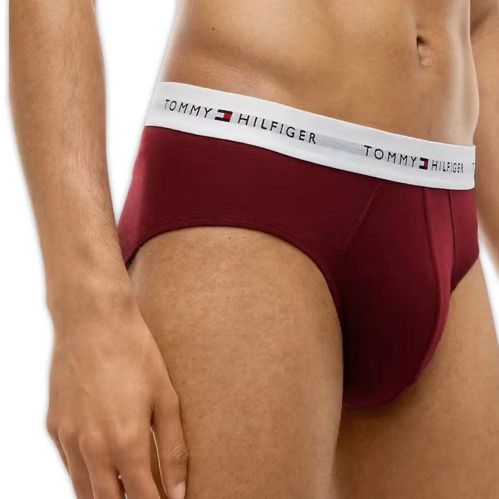 3-Pack Signature Cotton Briefs, Blue/Burgundy/Blue