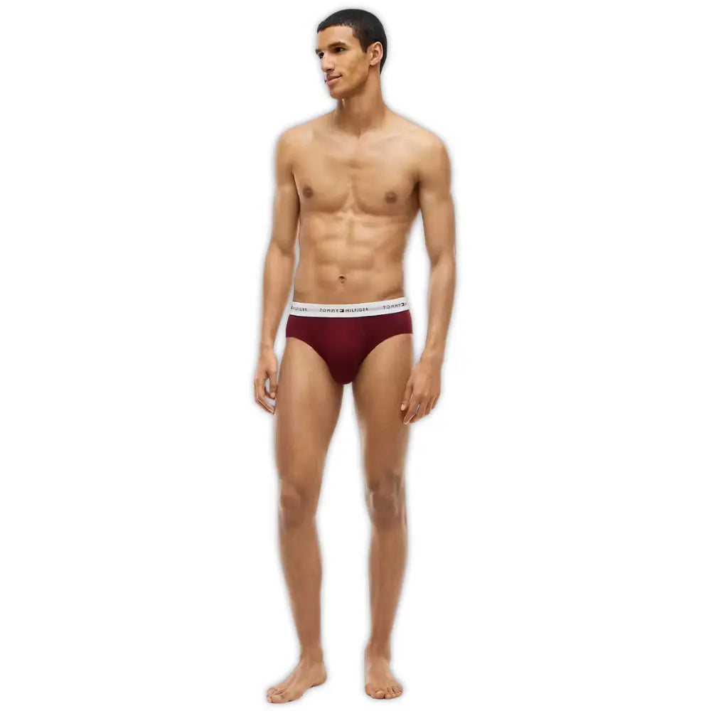 3-Pack Signature Cotton Briefs, Blue/Burgundy/Blue