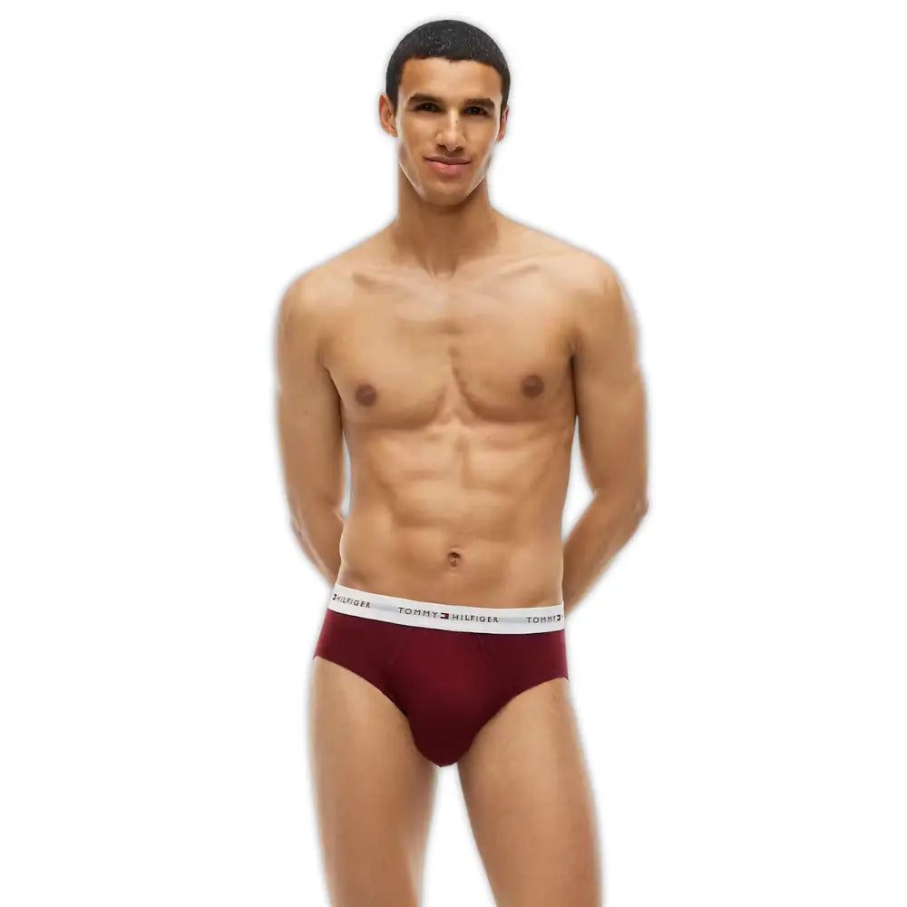 3-Pack Signature Cotton Briefs, Blue/Burgundy/Blue