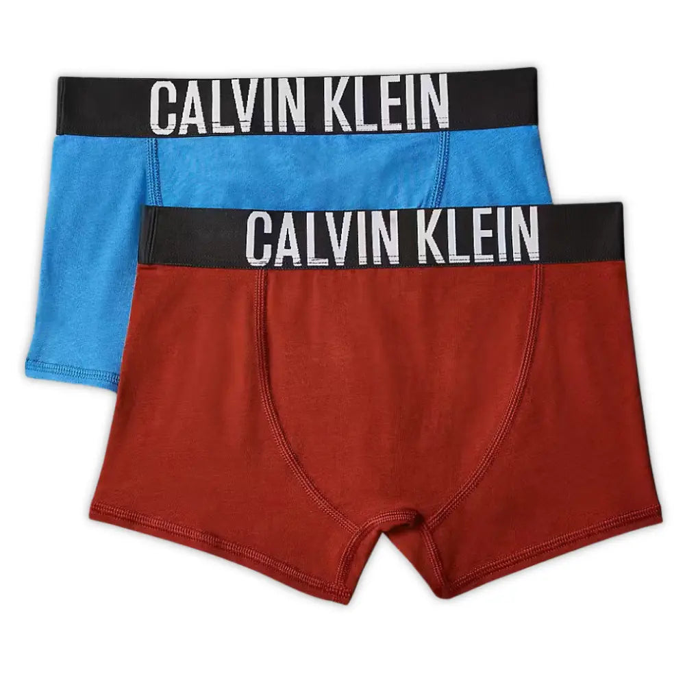 Boys 2-Pack Intense Power Boxer Trunks, Blue/Burgundy