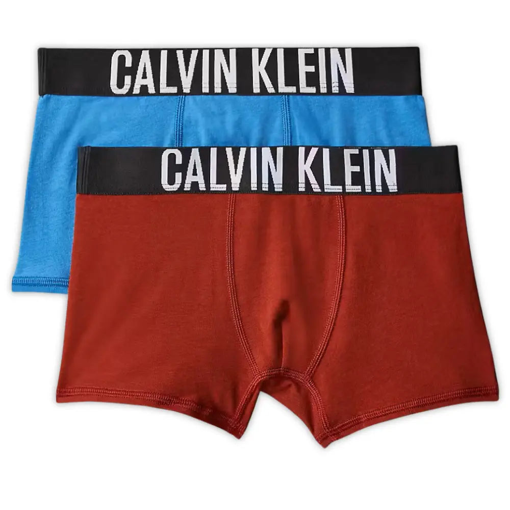 Boys 2-Pack Intense Power Boxer Trunks, Blue/Burgundy