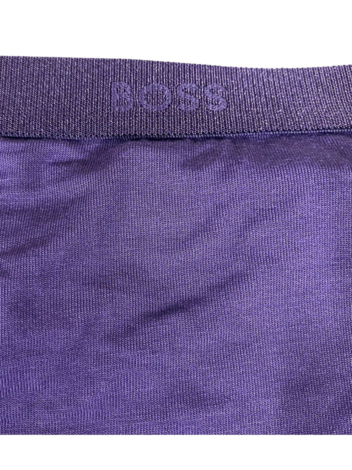 BOSSBriefCI Logo Waistband Brief, Dark PurpleBoxers - and - Briefs.net