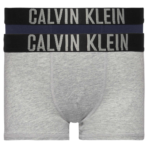 Boys 2 Pack Intense Power Boxer Trunks, Heather Grey / Blue Shadow