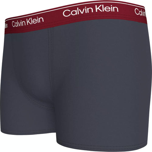 Calvin KleinTrunks 2 - packBoys 2 - Pack Modern Cotton Boxer Trunks, Ash/Grey w/ burgundyBoxers - and - Briefs.net