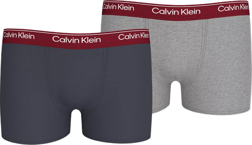 Calvin KleinTrunks 2 - packBoys 2 - Pack Modern Cotton Boxer Trunks, Ash/Grey w/ burgundyBoxers - and - Briefs.net