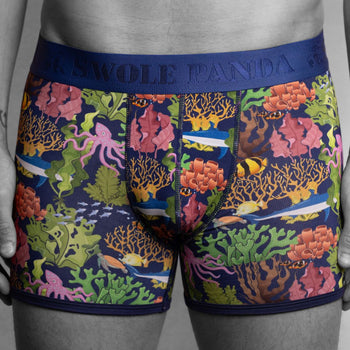 Swole PandaBoxer BriefMarine Bamboo Boxer Brief in Multicolour/blueBoxers & Briefs
