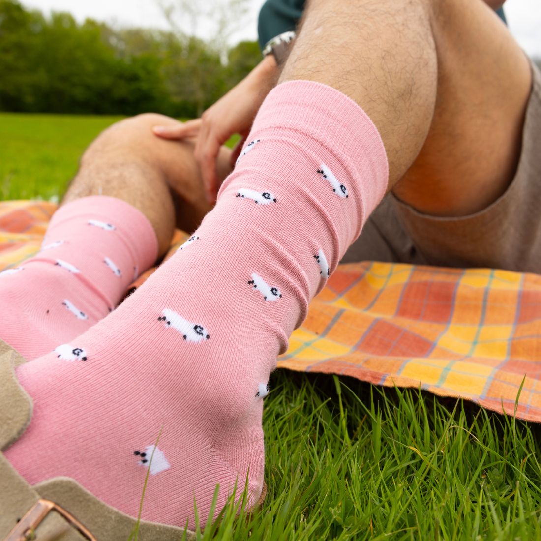 Swole PandaSocks SingleSheep Bamboo Socks, PinkBoxers & Briefs