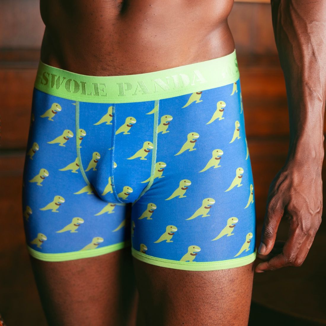 Swole PandaBoxer BriefT - Rex Bamboo Boxer Brief in Blue/greenBoxers & Briefs