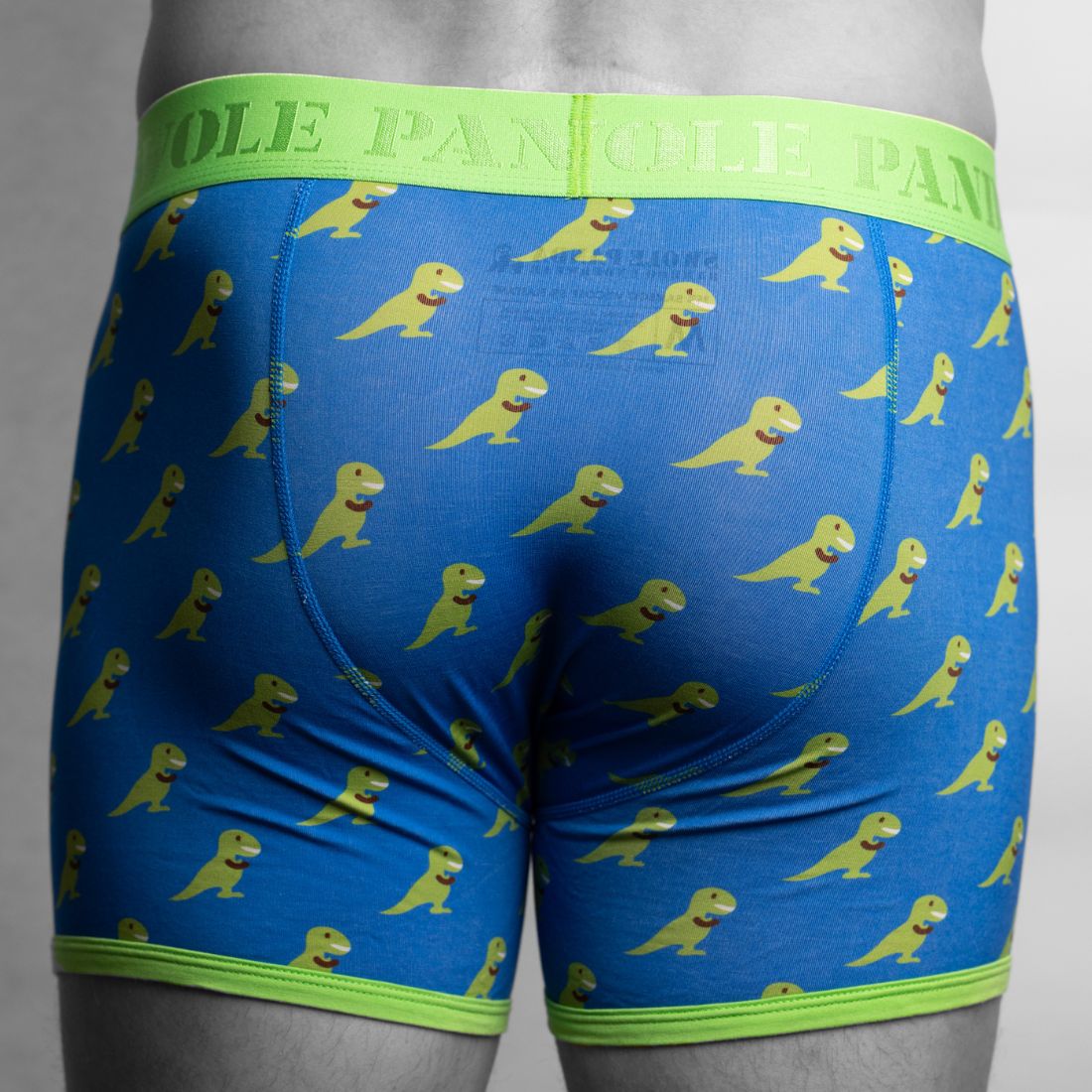 Swole PandaBoxer BriefT - Rex Bamboo Boxer Brief in Blue/greenBoxers & Briefs
