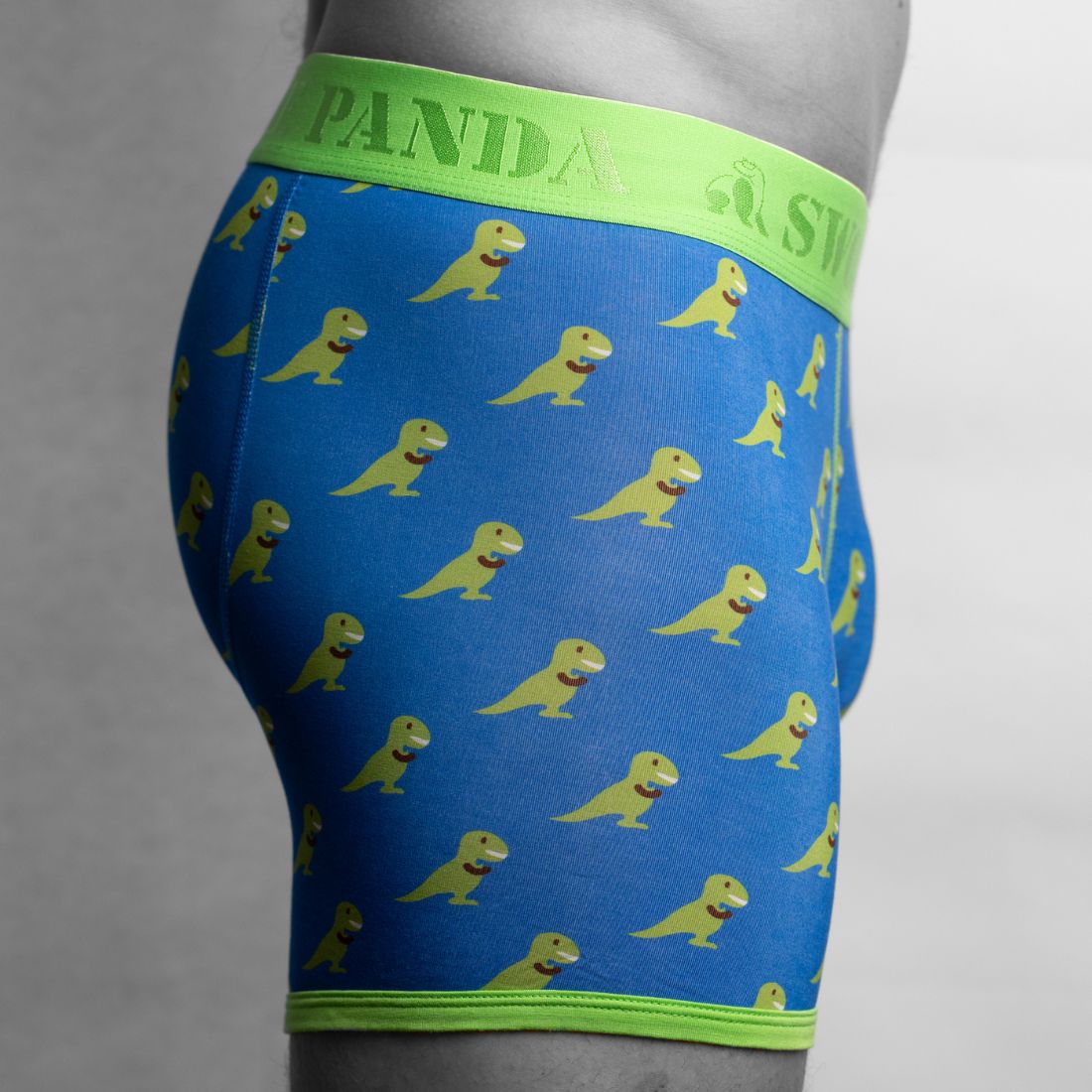 Swole PandaBoxer BriefT - Rex Bamboo Boxer Brief in Blue/greenBoxers & Briefs