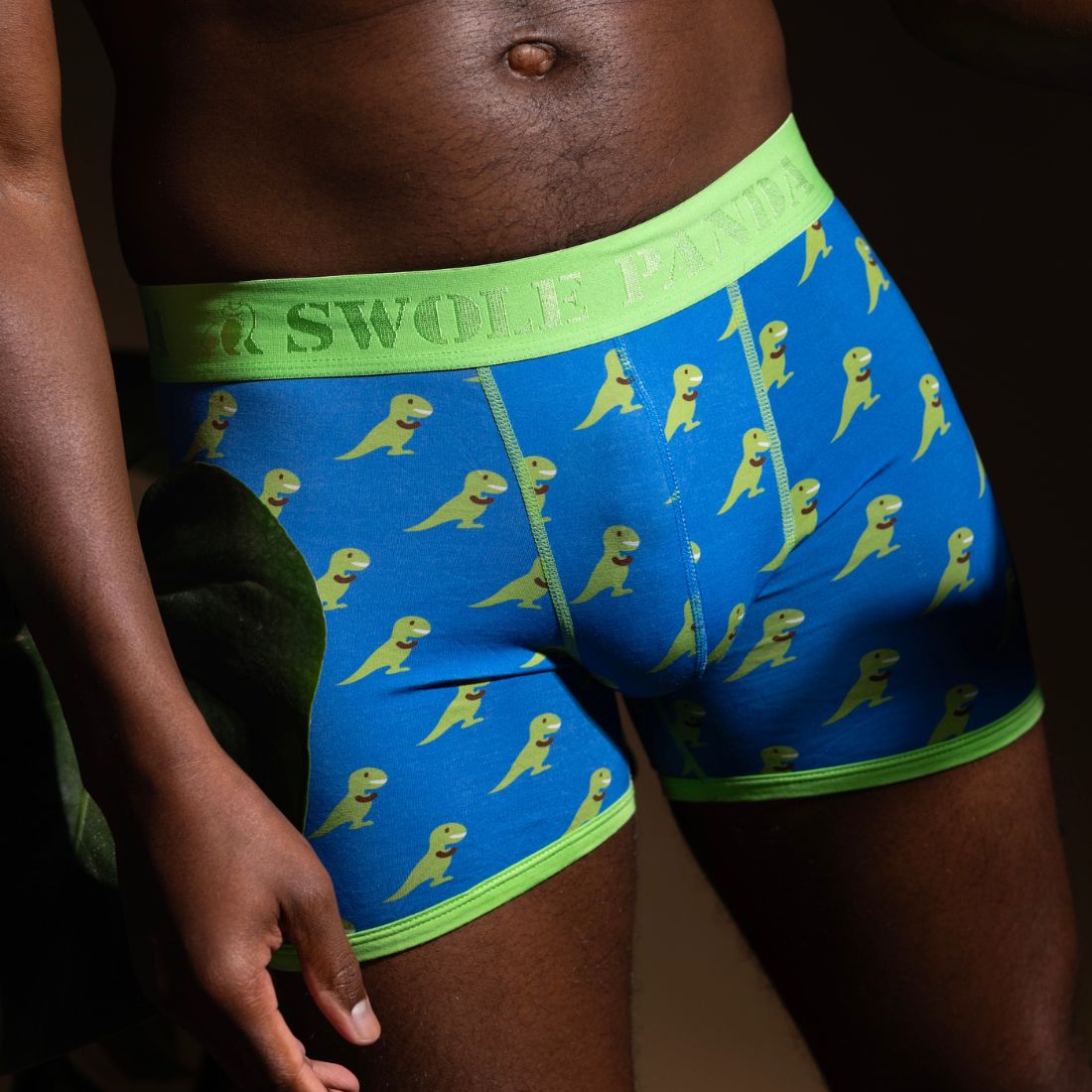 Swole PandaBoxer BriefT - Rex Bamboo Boxer Brief in Blue/greenBoxers & Briefs