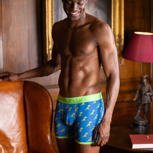 Swole PandaBoxer BriefT - Rex Bamboo Boxer Brief in Blue/greenBoxers & Briefs